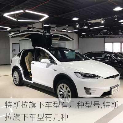 特斯拉旗下车型有几种型号,特斯拉旗下车型有几种