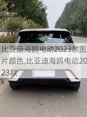 比亚迪海鸥电动2023款图片颜色,比亚迪海鸥电动2023款