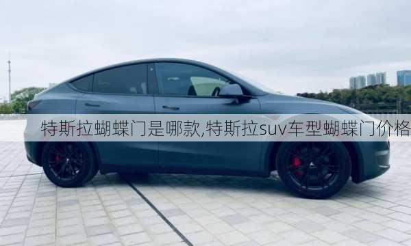 特斯拉蝴蝶门是哪款,特斯拉suv车型蝴蝶门价格