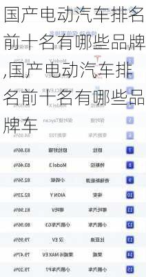 国产电动汽车排名前十名有哪些品牌,国产电动汽车排名前十名有哪些品牌车