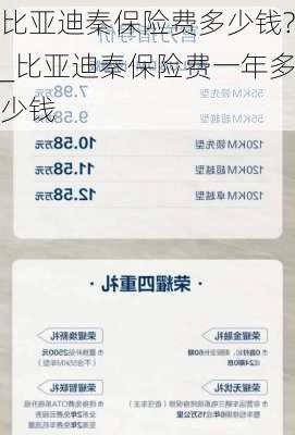 比亚迪秦保险费多少钱?_比亚迪秦保险费一年多少钱