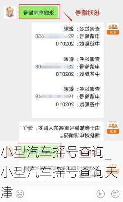 小型汽车摇号查询_小型汽车摇号查询天津