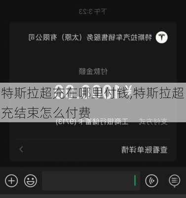 特斯拉超充在哪里付钱,特斯拉超充结束怎么付费