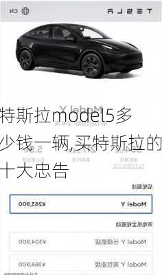 特斯拉model5多少钱一辆,买特斯拉的十大忠告