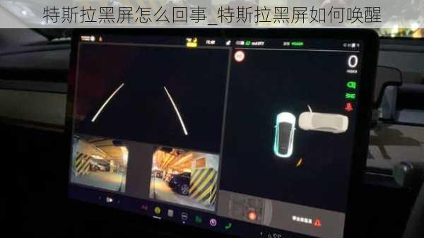 特斯拉黑屏怎么回事_特斯拉黑屏如何唤醒