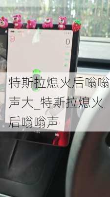 特斯拉熄火后嗡嗡声大_特斯拉熄火后嗡嗡声