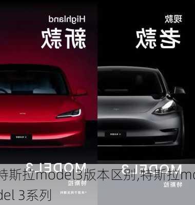 特斯拉model3版本区别,特斯拉model 3系列