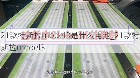 21款特斯拉model3是什么电池_21款特斯拉model3