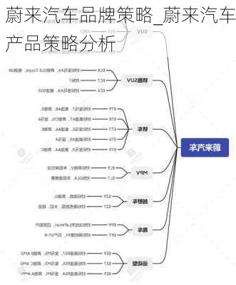 蔚来汽车品牌策略_蔚来汽车产品策略分析