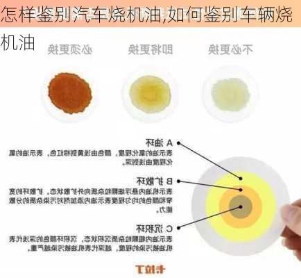 怎样鉴别汽车烧机油,如何鉴别车辆烧机油