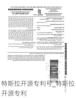 特斯拉开源专利号_特斯拉开源专利