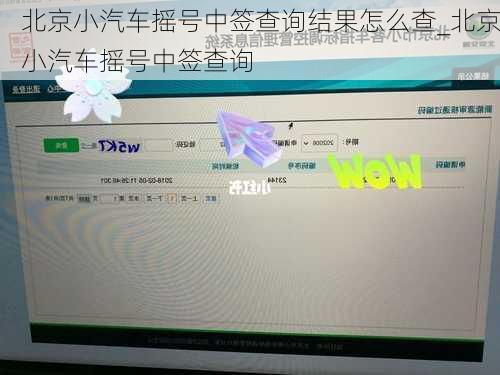 北京小汽车摇号中签查询结果怎么查_北京小汽车摇号中签查询