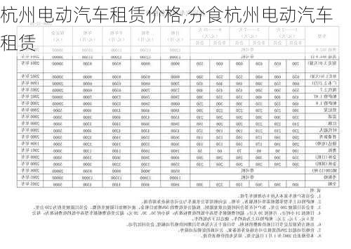 杭州电动汽车租赁价格,分食杭州电动汽车租赁