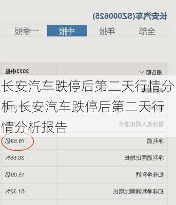 长安汽车跌停后第二天行情分析,长安汽车跌停后第二天行情分析报告