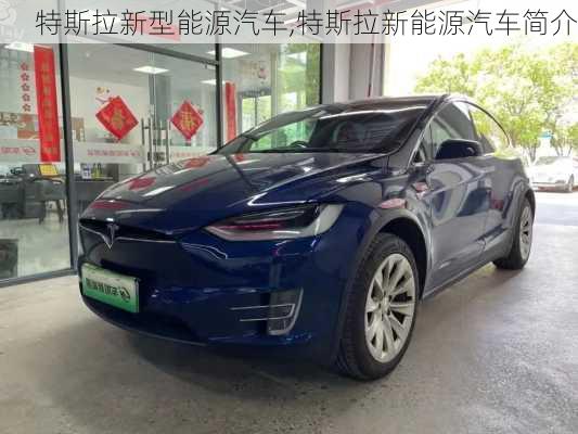 特斯拉新型能源汽车,特斯拉新能源汽车简介