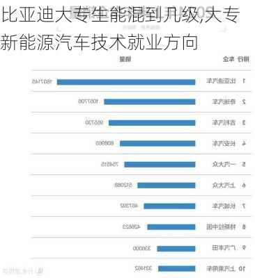 比亚迪大专生能混到几级,大专新能源汽车技术就业方向