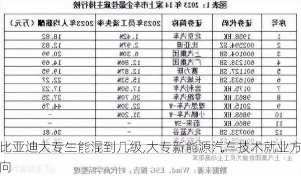 比亚迪大专生能混到几级,大专新能源汽车技术就业方向