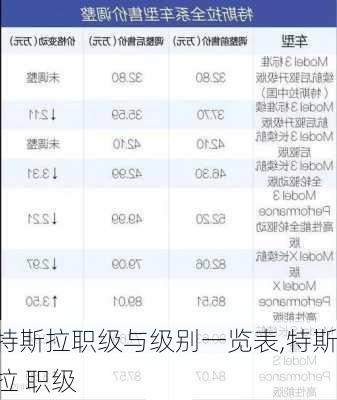 特斯拉职级与级别一览表,特斯拉 职级