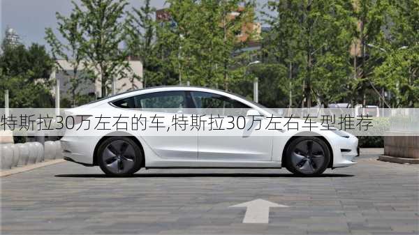 特斯拉30万左右的车,特斯拉30万左右车型推荐