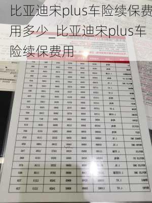 比亚迪宋plus车险续保费用多少_比亚迪宋plus车险续保费用