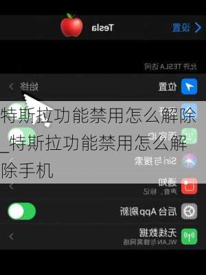 特斯拉功能禁用怎么解除_特斯拉功能禁用怎么解除手机