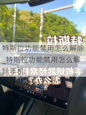 特斯拉功能禁用怎么解除_特斯拉功能禁用怎么解除手机