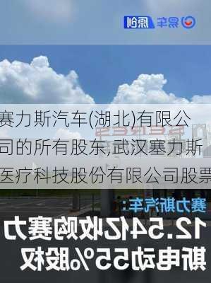 赛力斯汽车(湖北)有限公司的所有股东,武汉塞力斯医疗科技股份有限公司股票