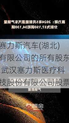 赛力斯汽车(湖北)有限公司的所有股东,武汉塞力斯医疗科技股份有限公司股票