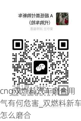 cng双燃料汽车磨合用气有何危害_双燃料新车怎么磨合