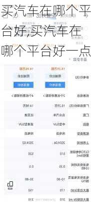 买汽车在哪个平台好,买汽车在哪个平台好一点