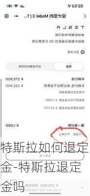 特斯拉如何退定金-特斯拉退定金吗