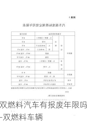 双燃料汽车有报废年限吗-双燃料车辆