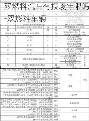 双燃料汽车有报废年限吗-双燃料车辆