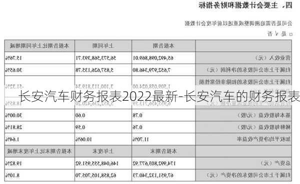 长安汽车财务报表2022最新-长安汽车的财务报表