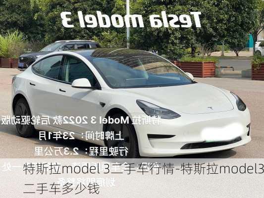 特斯拉model 3二手车行情-特斯拉model3二手车多少钱