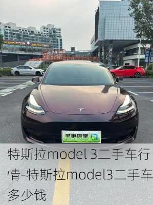 特斯拉model 3二手车行情-特斯拉model3二手车多少钱