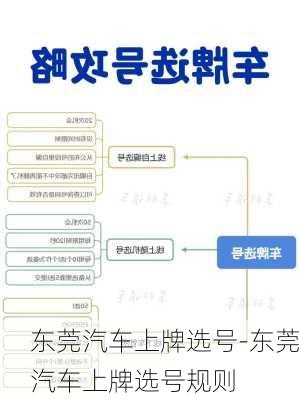 东莞汽车上牌选号-东莞汽车上牌选号规则