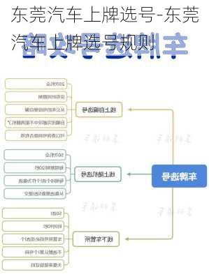 东莞汽车上牌选号-东莞汽车上牌选号规则