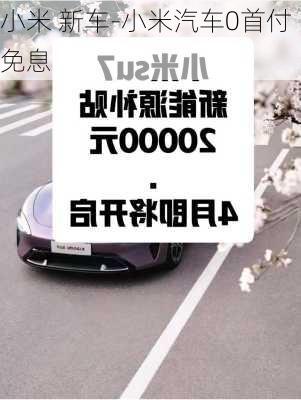 小米 新车-小米汽车0首付免息