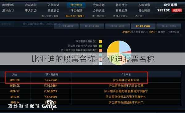 比亚迪的股票名称-比亚迪股票名称