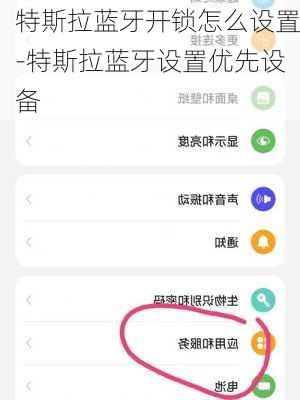 特斯拉蓝牙开锁怎么设置-特斯拉蓝牙设置优先设备