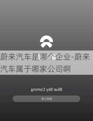 蔚来汽车是哪个企业-蔚来汽车属于哪家公司啊