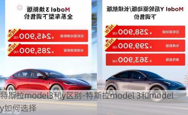 特斯拉model3和y区别-特斯拉model 3和model y如何选择