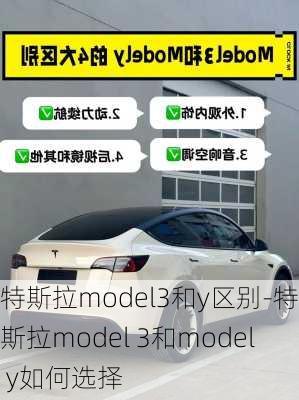 特斯拉model3和y区别-特斯拉model 3和model y如何选择