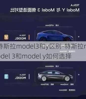 特斯拉model3和y区别-特斯拉model 3和model y如何选择