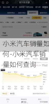 小米汽车销量如何-小米汽车销量如何查询