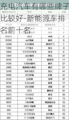 充电汽车有哪些牌子比较好-新能源车排名前十名