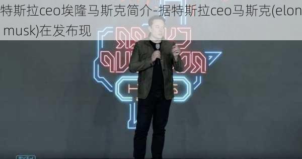 特斯拉ceo埃隆马斯克简介-据特斯拉ceo马斯克(elon musk)在发布现