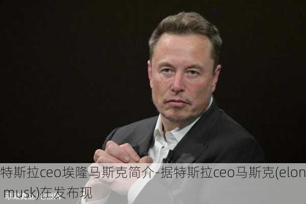 特斯拉ceo埃隆马斯克简介-据特斯拉ceo马斯克(elon musk)在发布现