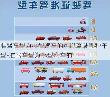 准驾车型为小型汽车的可以驾驶哪种车型-准驾车型为小型汽车的